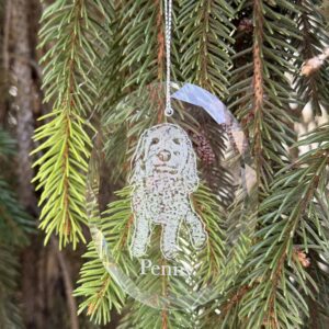 Glass Ornament - Pet Photo