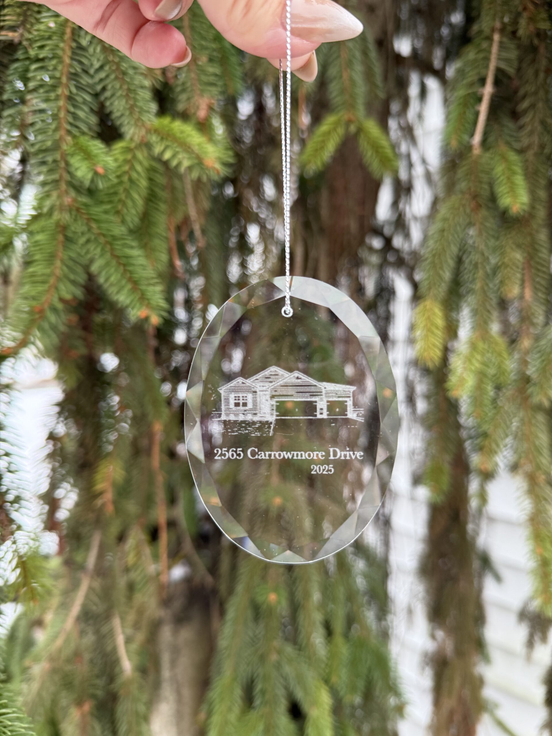 Glass Ornament - home photo